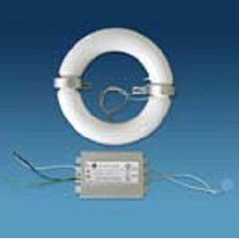 40W electrodeless lamps