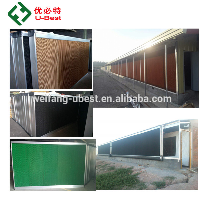 Poultry Controlled Shed Equipment Auto Silo Feeder Drinker Cooling Pad Heater for Farming Broiler Chickens