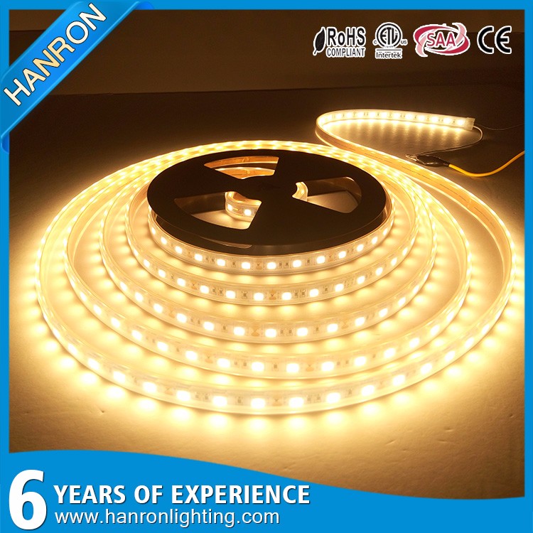 Hot sale factory wholesale CE / RoHs waterproof DC12v/ 24v led flexible strip light 5050,christmas led strip light outdoor use