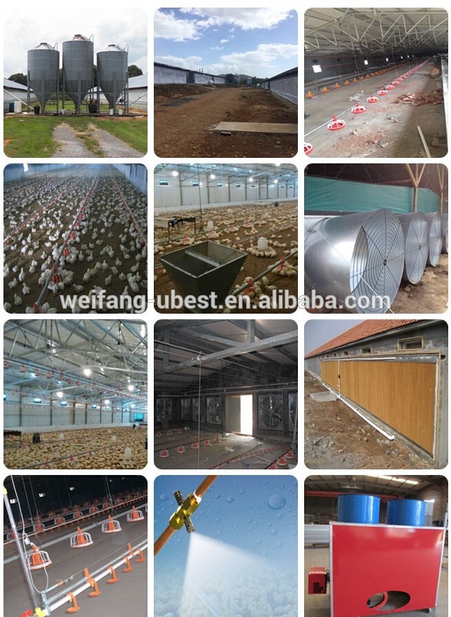 plastic slatted flooring for poultry broiler house equipment