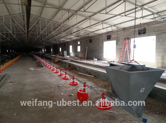 auto screw feeder Type and Chicken Use pan feeding line for broiler