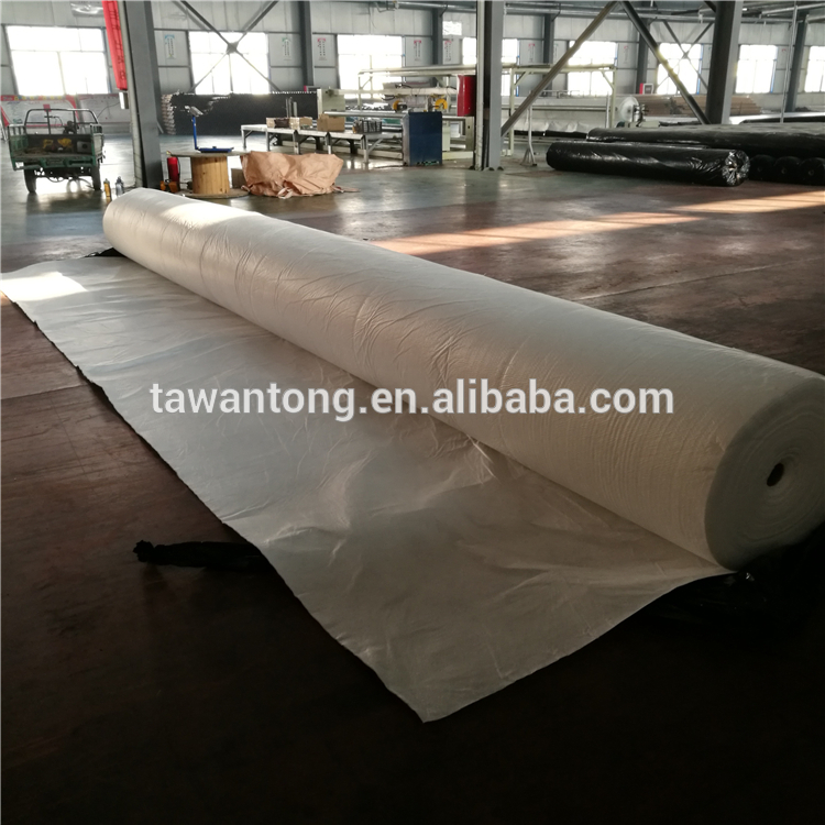 Taian Factory Price PP Polypropylene Needle Punched Non Woven Geotextile Fabric