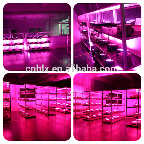 3 years warranty Apollo-4 400w NOVA S8 cheapest uv ir full spectrum led grow lights