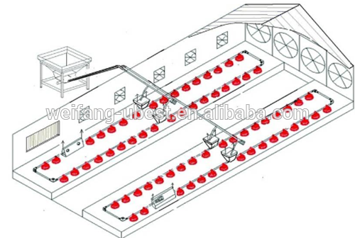 popular automatic chicken feeder for broiler parent breeder farm equipment