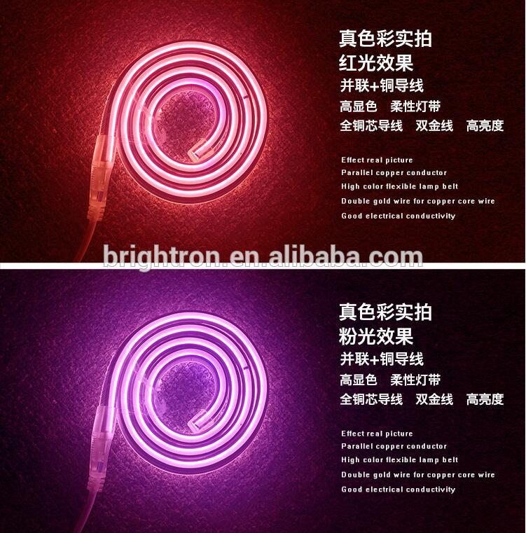 Super Brightness Flat Surface Silicone LED Neon Flex Light With 3 Years Warranty