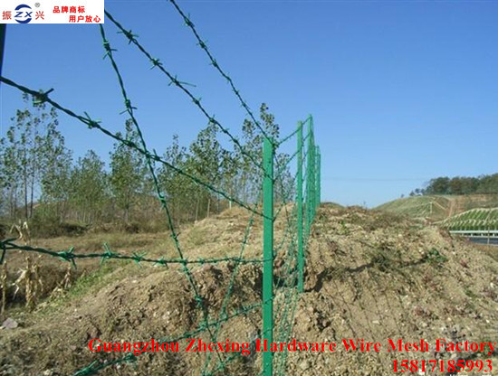 China supplier selling anti-theft plastic barbed wire ZX-BSCS03