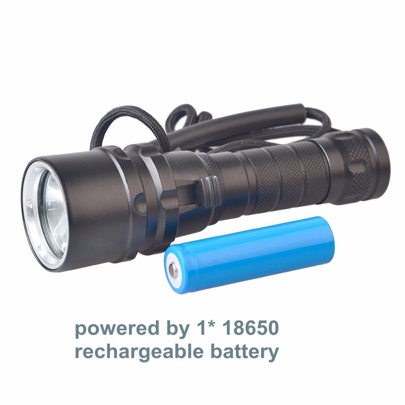 High Power 395nm Underwater Flashlight Aluminium Alloy IP68 Waterproof UV Diving Torch