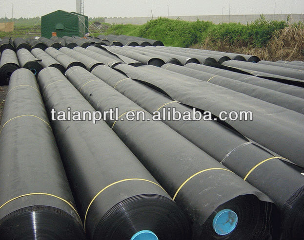 Geomembrane