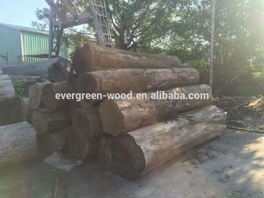 raw wood logs natural teak wood burma teak