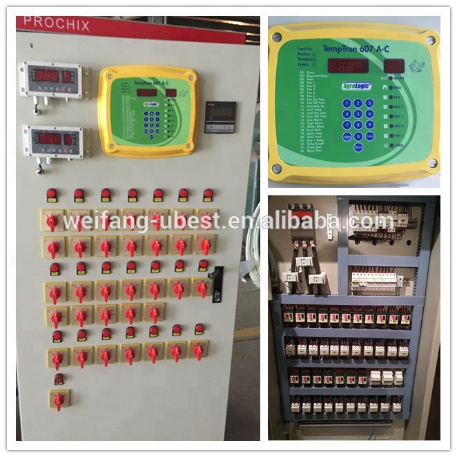 chicken poultry control shed equipment