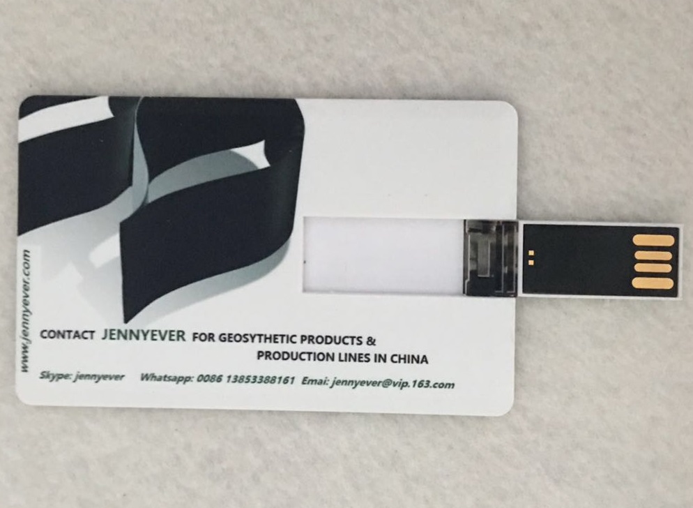 Promotion USB Card Logo Printing