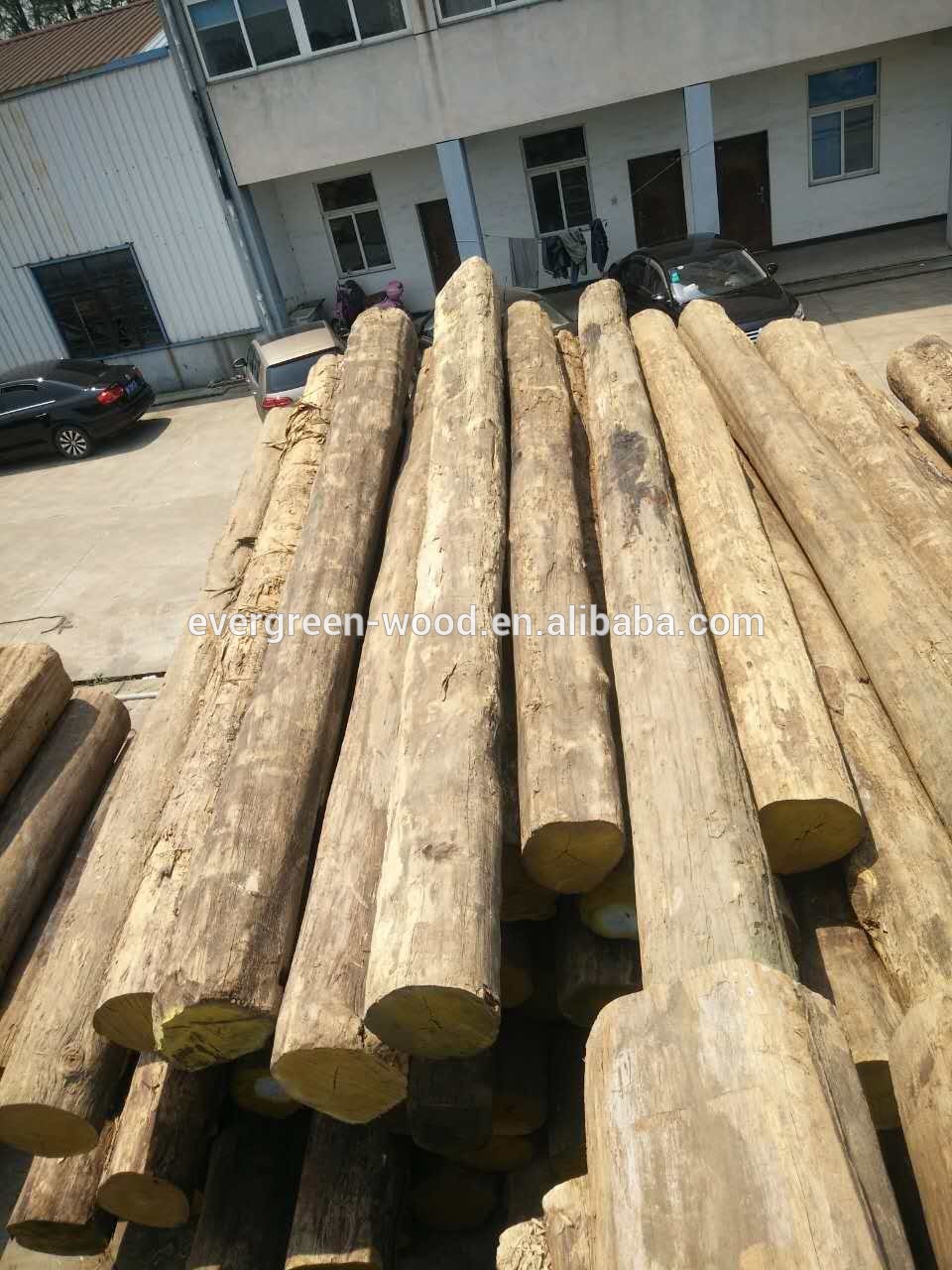 Burma teak round log natural teak whole sale