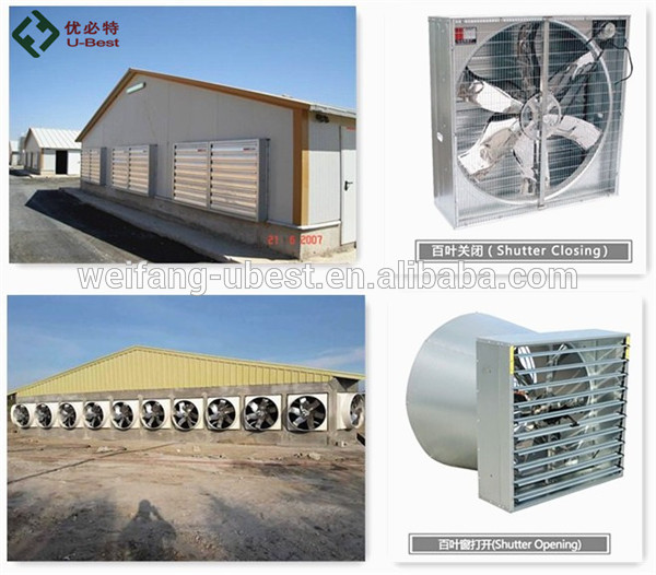 Hot sale ground type chicken broilers automatic poultry equipment used