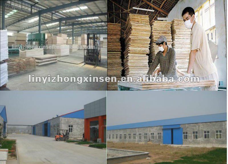 commercial plywood for Africa market,E1 glue plywood