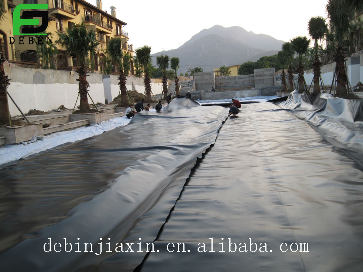 Top Quality Fish Shrimp Pond Liner HDPE Geomembrane Waterproof Dam Liner UV Pool Liner