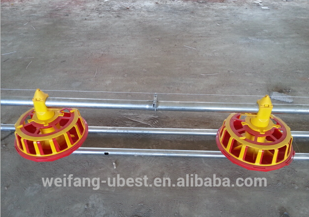 auto screw feeder Type and Chicken Use pan feeding line for broiler