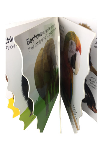 High Quality Children Board Sound Book Printing OEM Service