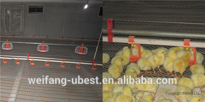 chinese supplier broiler chicken farming equipment for meat production