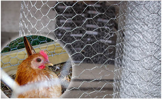 Factory cheap price agricultural wire netting galvanized hexagonal chicken wire mesh