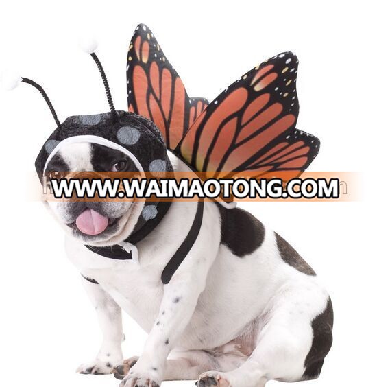 Fairy Butterfly Pet Costume, fairy Butty dog costume ,butterfly dog costume