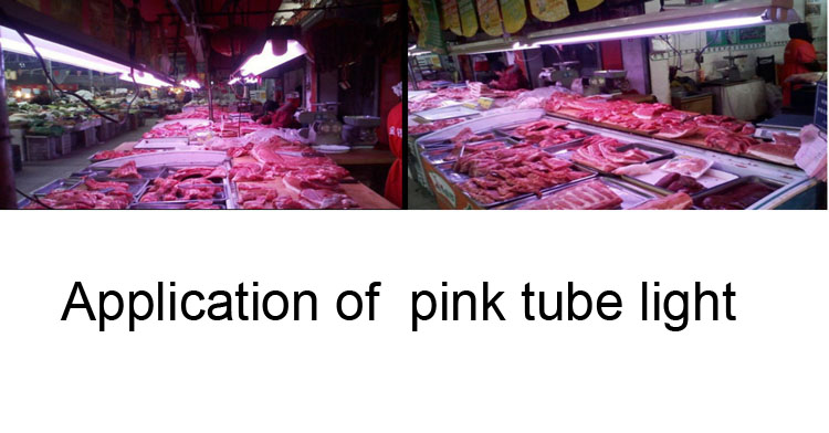 Hot sale pinkLed Tube for Meat Supermarket/led T8 pink tube light