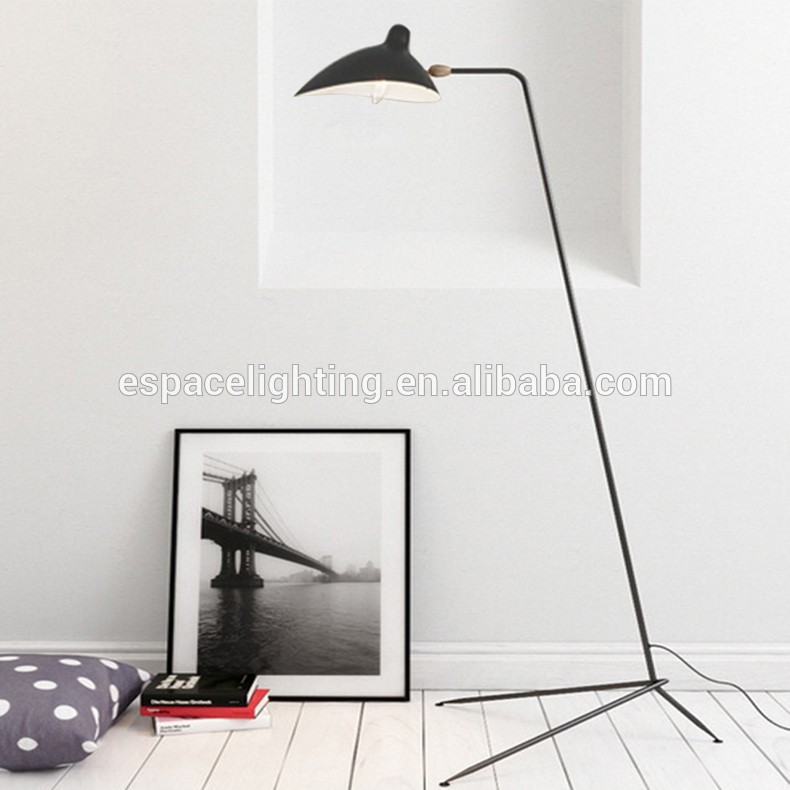 Modern Decorative Floor Lamp