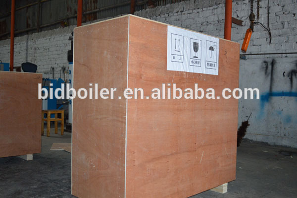 Biomass wood pellet water boiler for domestic heating