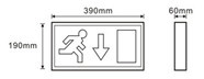 rechargeable SMD2835 led exit light with CE and ROHS standard