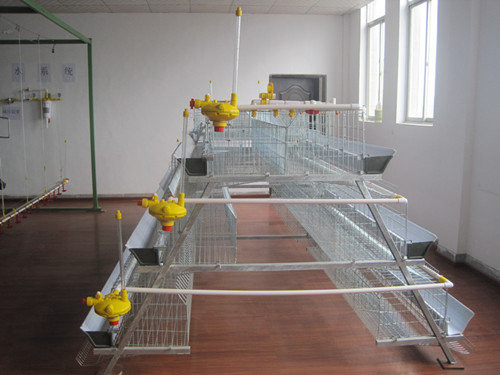 Egg laying hen battery layer cage for poultry farm