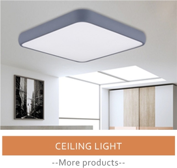 20W hot selling china led home ceiling light