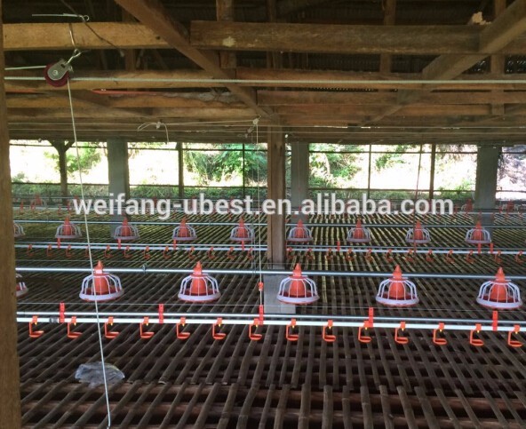 2015 best sell poultry farming equipment broiler chicken