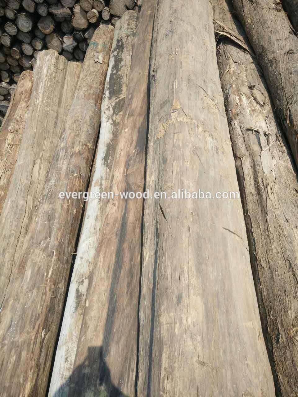 Burma teak round log natural teak whole sale