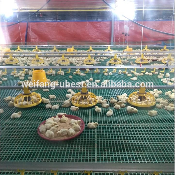 auger feed system for poultry, pan feeding system, poultry automatic feeding system