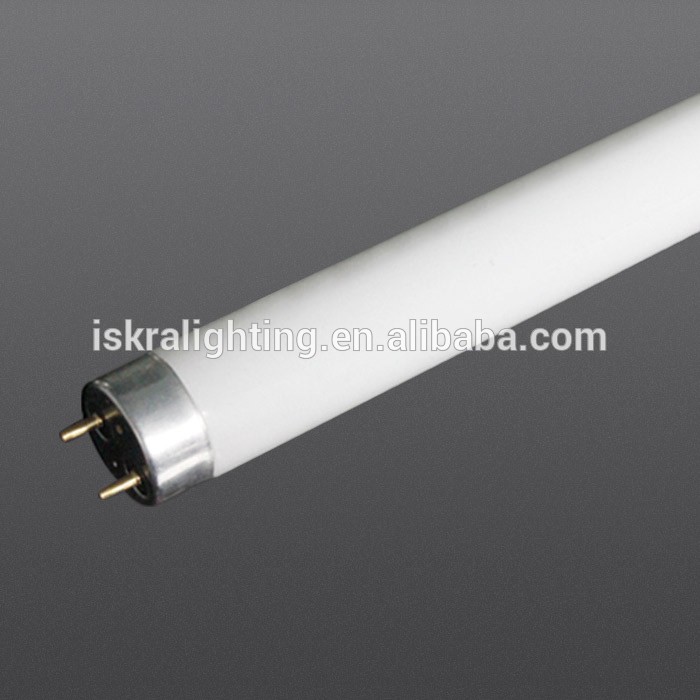 220v G13 18W 30W 36W common energy saving T8 fluorescent tubes lamps