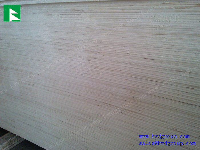 poplar plywood sheet / cheap plywood / birch plywood