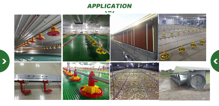 Low Price Modern Poultry Farm Controlled Chicken House Automatic Broiler Equipment