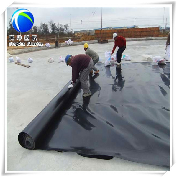 1.5mm hdpe geomembrane Ldpe Sheet