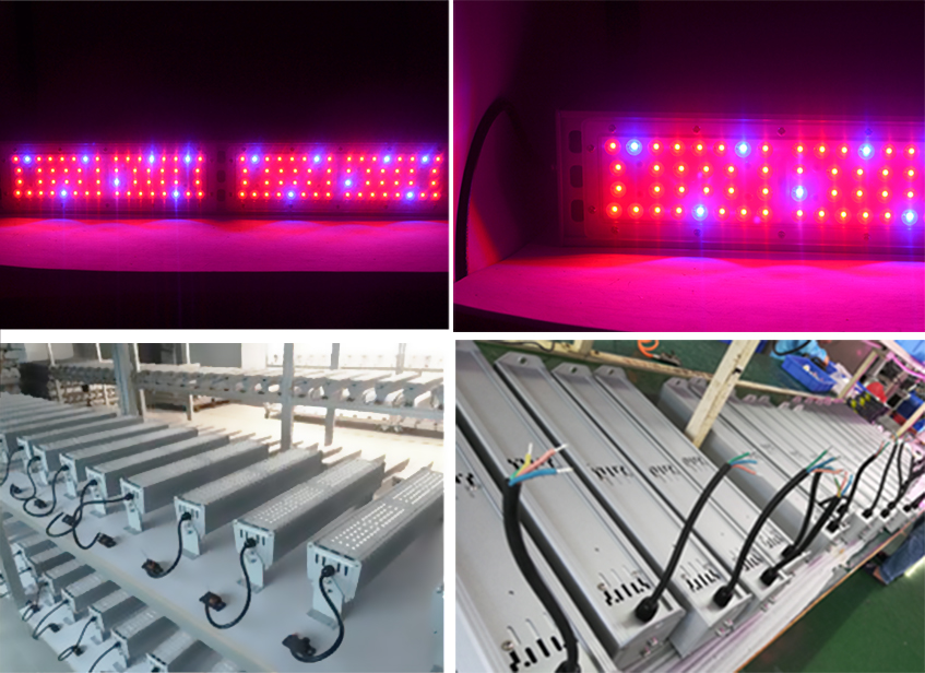 LED Linear  with IV UR Chips 390nm 730nm Plant Growing Light for Hydroponic Greenhouse full spectrum 11 band led grow lights