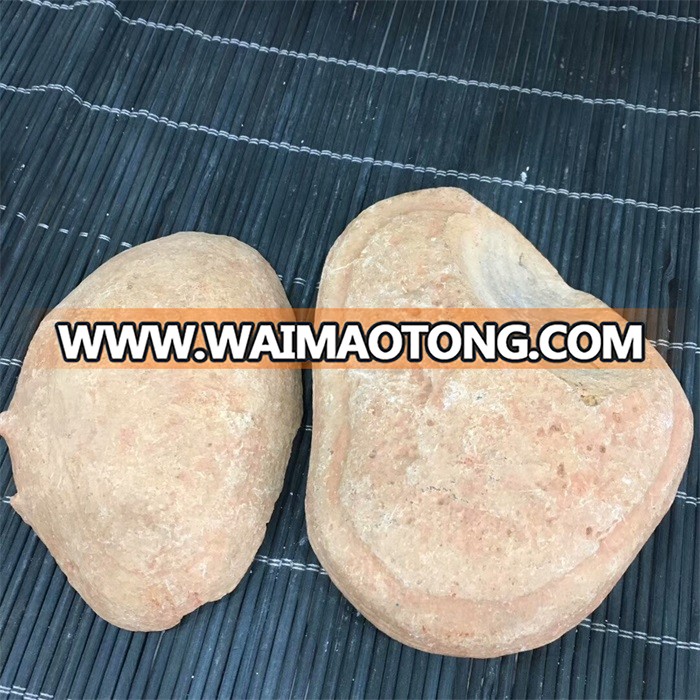 Natural Concretion Stone Fish Fossil For Sale