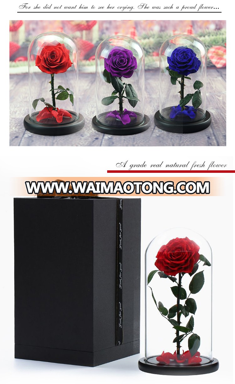 Chinese suppliers Natural Rose Preserved Flower  in glass