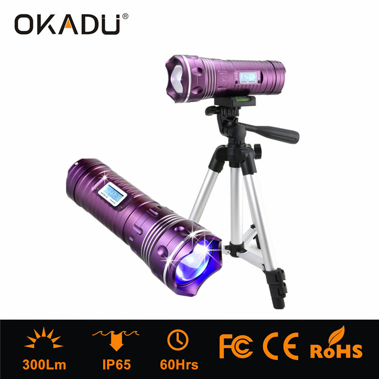 Hot Sale Multi-function Waterproof LED Fishing Light