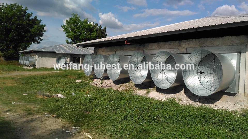 poultry farm equipment price broiler farms in argentina