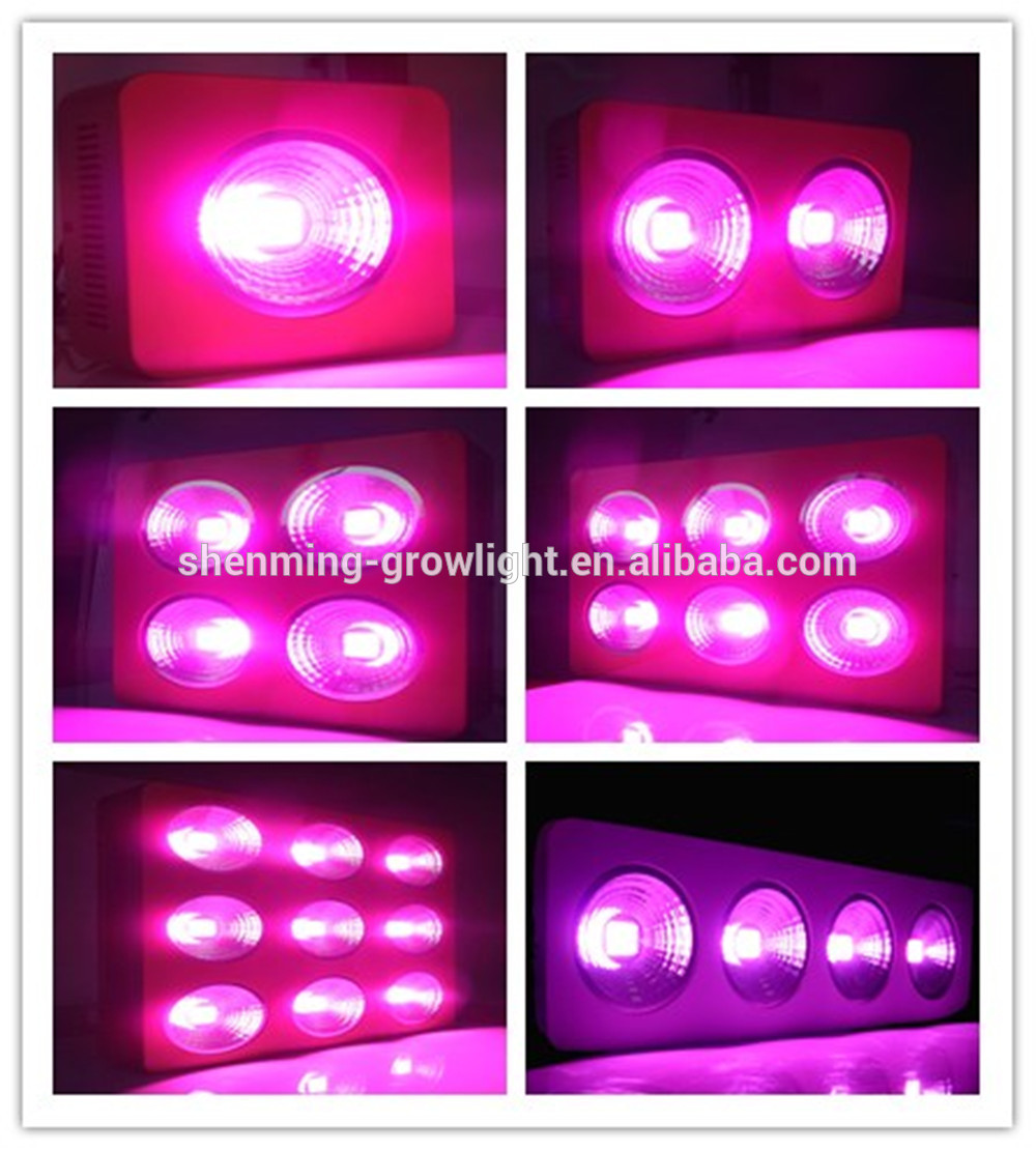 Hydroponic system 600w indoor grow light led