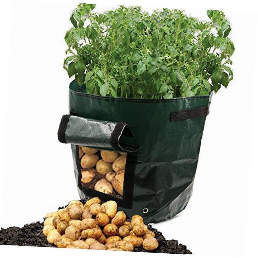 Potato Vegetable Growing Bag Garden Planter Pot Bags With Flap and Handles