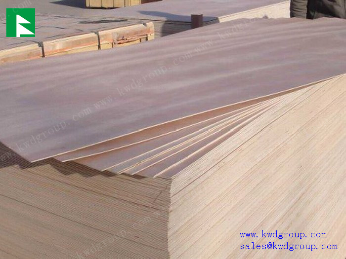 poplar plywood sheet / cheap plywood / birch plywood