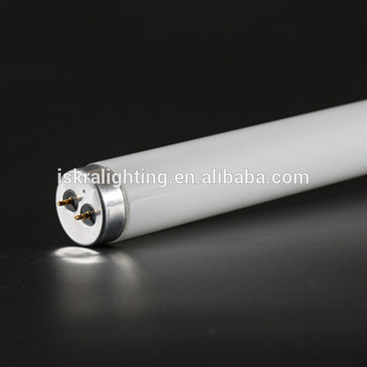 220v G13 18W 30W 36W common energy saving T8 fluorescent tubes lamps