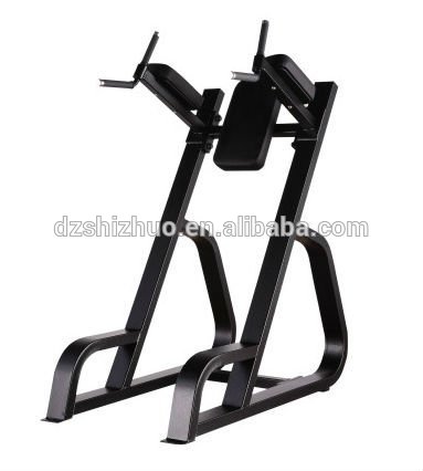 High quality precor gym equipment Vertical Kness Up/Dip SP29/leg exerciser/exercise machine