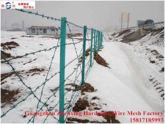 China supplier selling anti-theft plastic barbed wire ZX-BSCS03