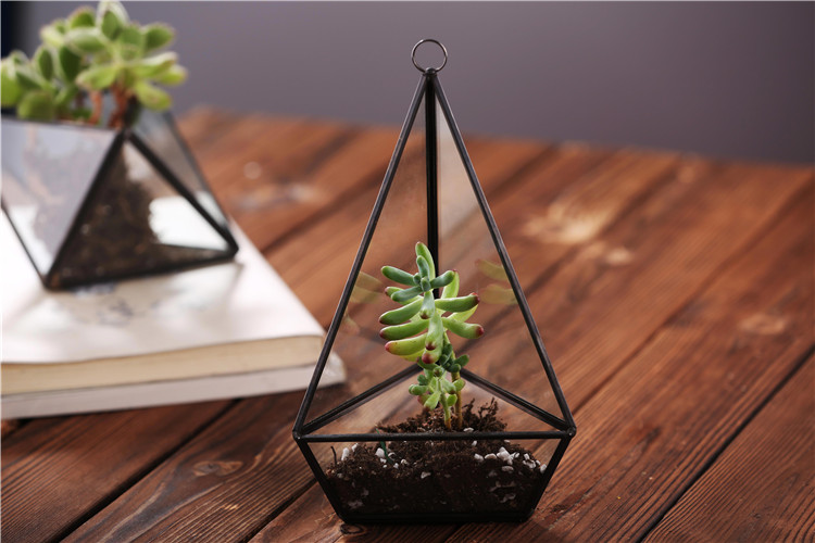 Wholesale Rectangle Shape Glass Geometric Terrarium