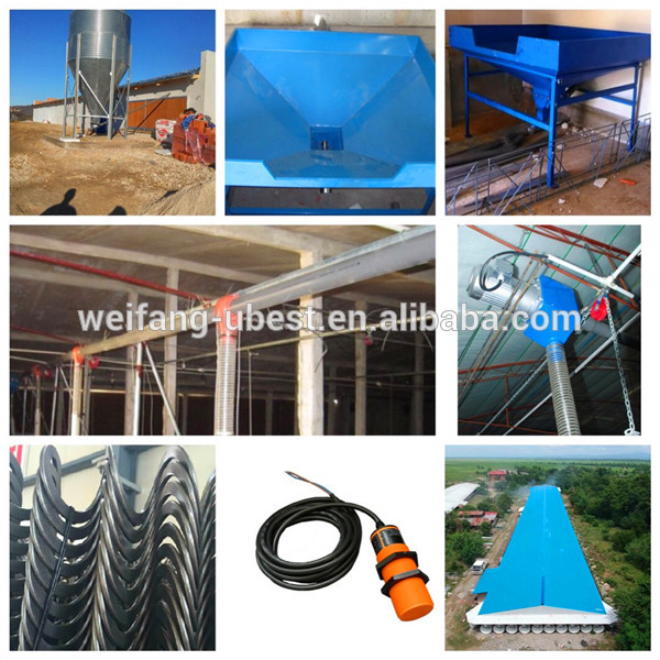 Automatic poultry farm chicken broiler feeding system